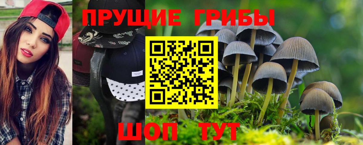 Псилоцибиновые грибы мицелий  Вход с VPN  Туапсе  Псилоцибиновые грибы MAGIC MUSHROOMS 
