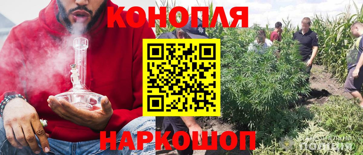 Шишки марихуана Bruce Banner  Вход с VPN  Туапсе  Бошки Шишки White Widow 